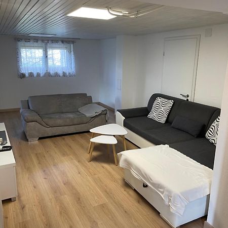 Chaleureux Appartement - Estrade Bollwiller Eksteriør billede